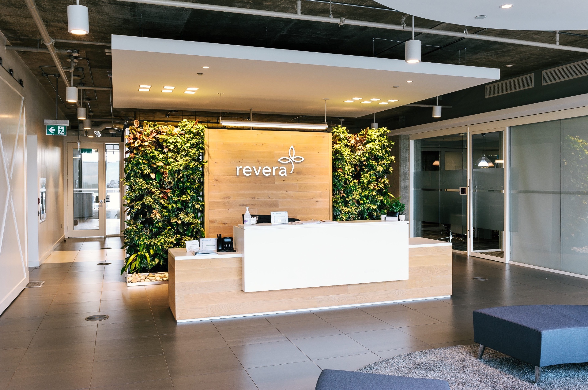 Reception with living green walls & oak feature wall — commercial interior design by Ab & Zen Interior